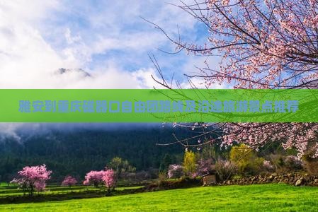 雅安到重庆磁器口自由团 雅安到重庆磁器口自由团