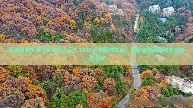 果洛到重庆两江夜游哪里玩