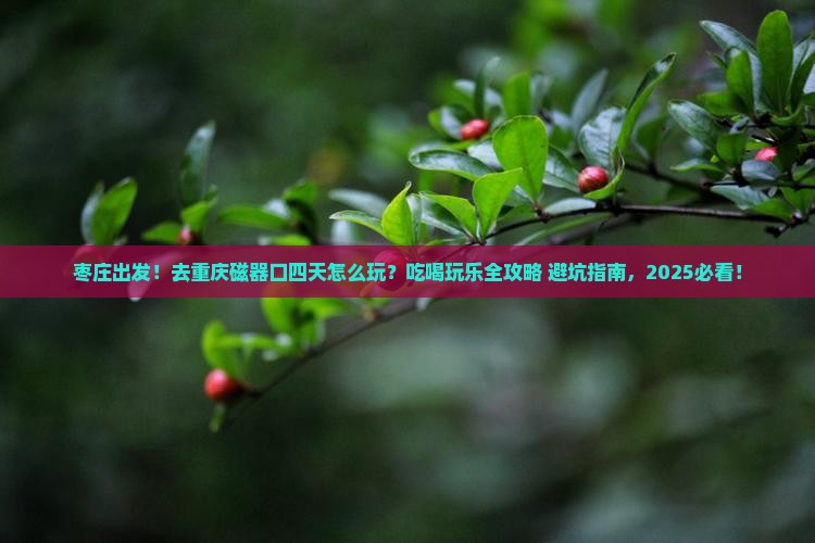 枣庄去重庆磁器口四日游