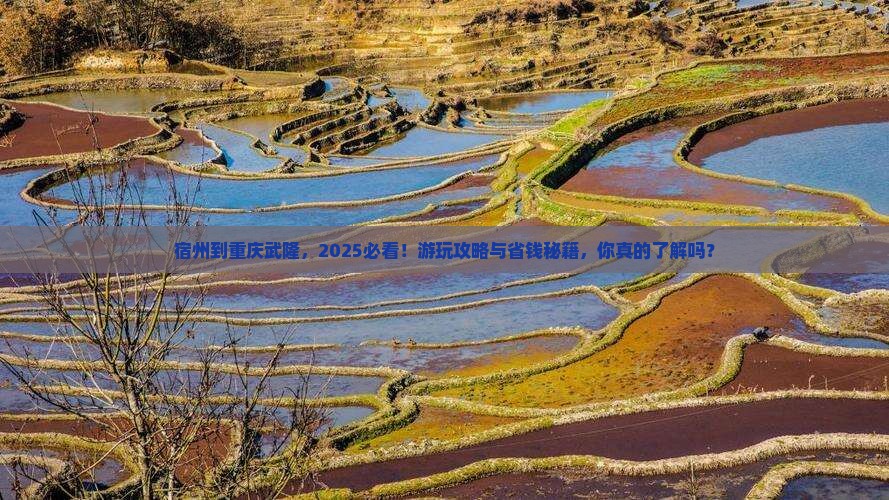 宿州到重庆武隆哪里玩