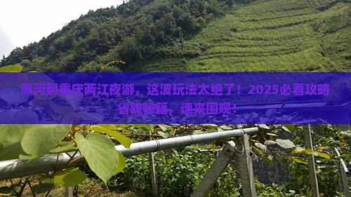 黑河到重庆两江夜游旅游
