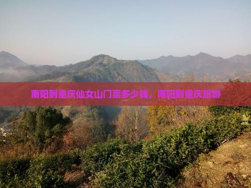 南阳到重庆仙女山门票