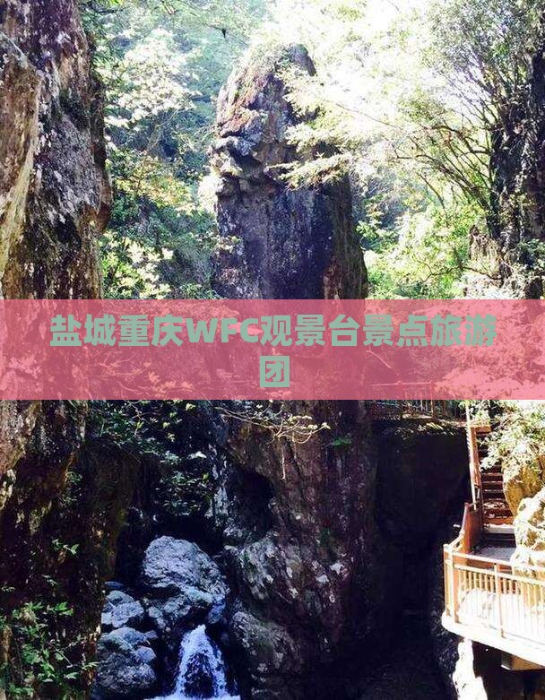 盐城去重庆wfc观景台大型旅游团