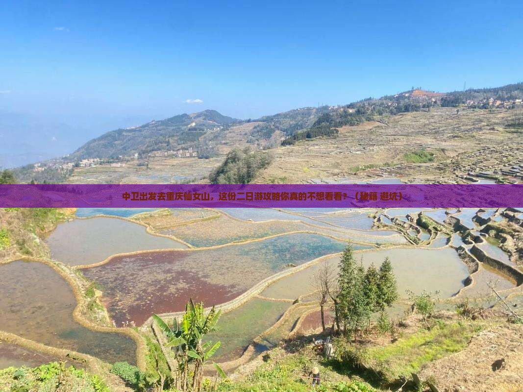 中卫去重庆仙女山二日游