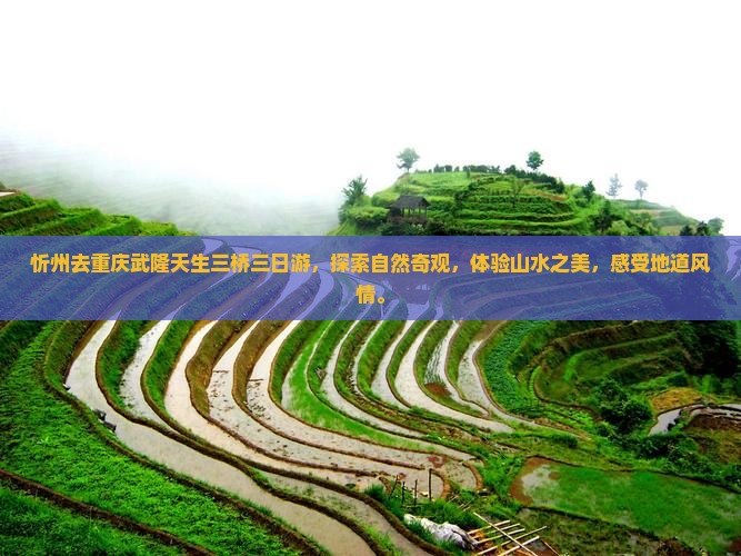 忻州去重庆武隆天生三桥三日游