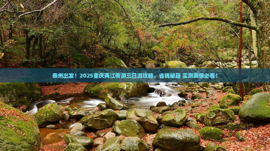 泰州去重庆两江夜游三日游