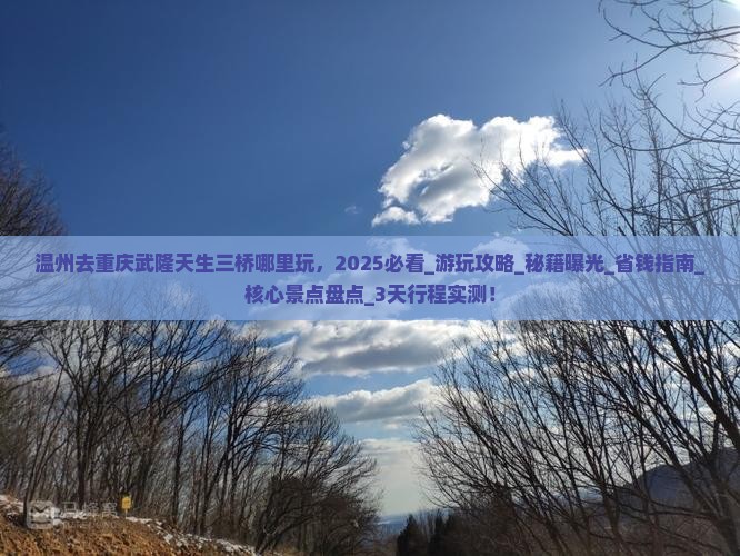 温州去重庆武隆天生三桥哪里玩