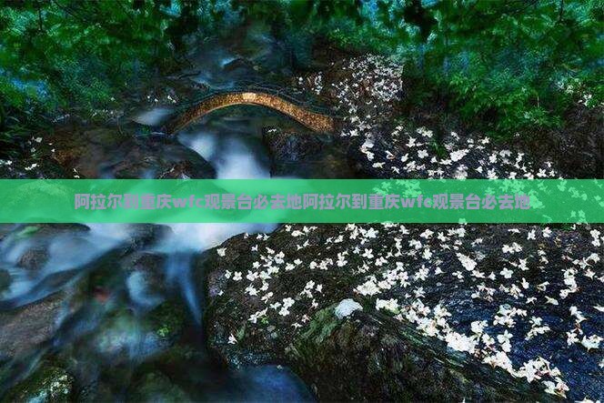 阿拉尔到重庆wfc观景台必去地 阿拉尔到重庆wfc观景台必去地
