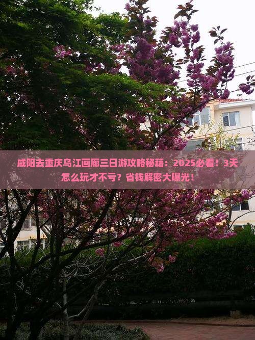咸阳去重庆乌江画廊三日游