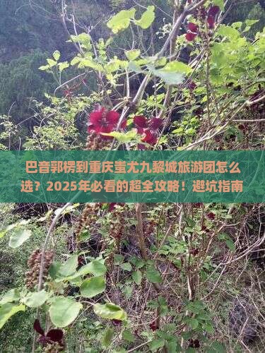 巴音郭楞到重庆蚩尤九黎城大型旅游团