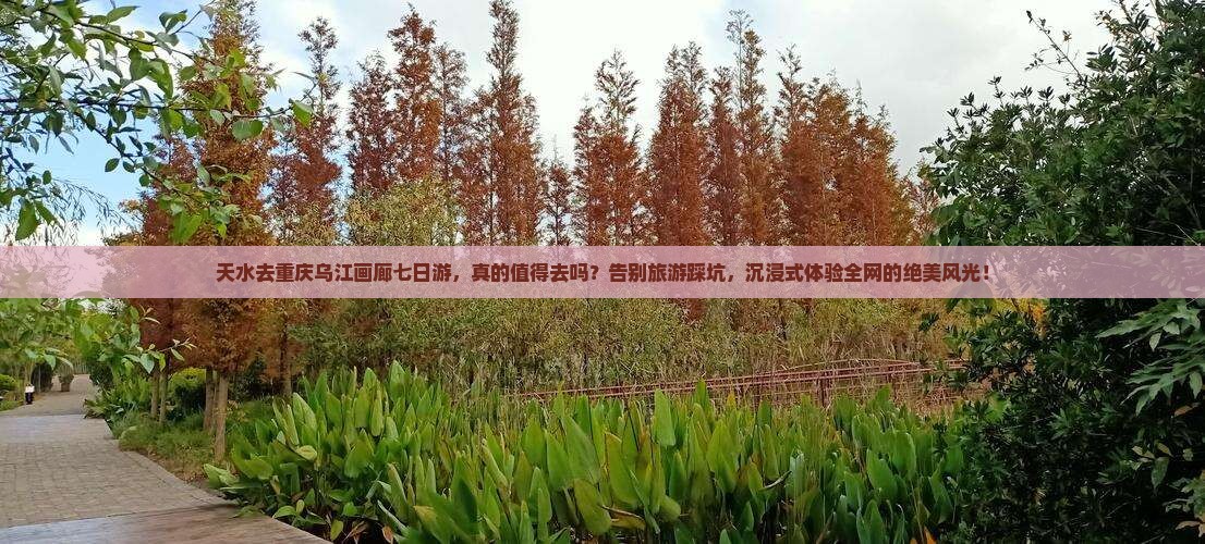 天水去重庆乌江画廊七日游