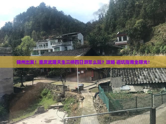 锦州去重庆武隆天生三桥四日游
