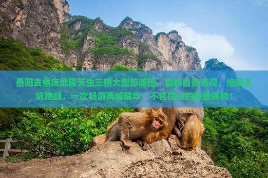 岳阳去重庆武隆天生三桥大型旅游团