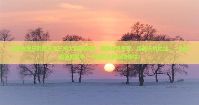岳阳去重庆武隆天生三桥大型旅游团