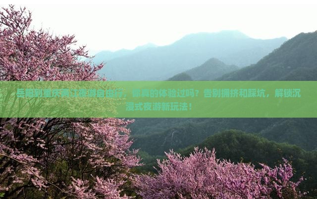 岳阳到重庆两江夜游自由行