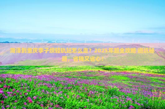 菏泽到重庆李子坝轻轨站攻略