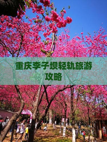 长治到重庆李子坝轻轨站攻略