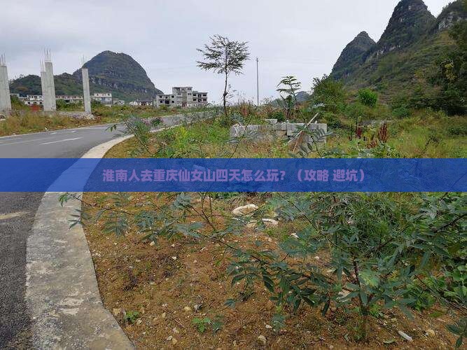 淮南去重庆仙女山四日游