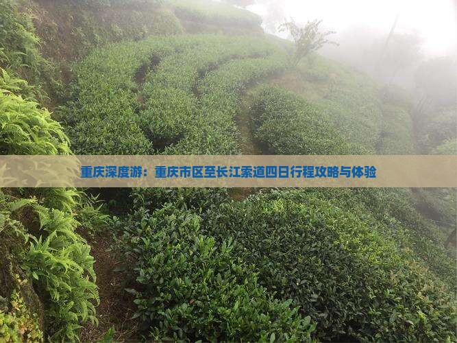 重庆深度游：重庆市区至长江索道四日行程攻略与体验