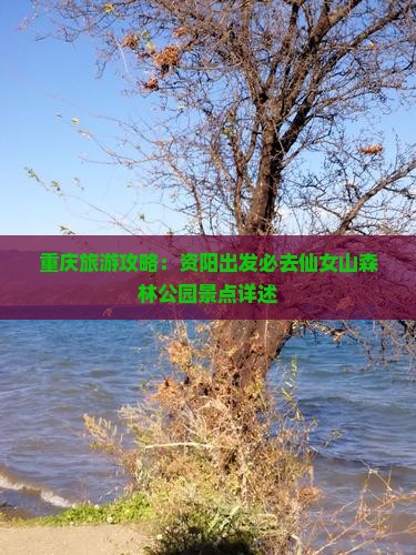 重庆旅游攻略：资阳出发必去仙女山森林公园景点详述