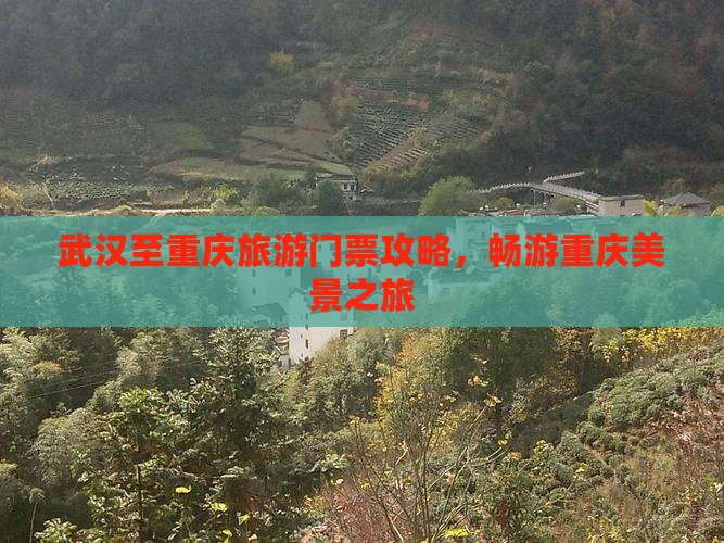 武汉至重庆旅游门票攻略，畅游重庆美景之旅