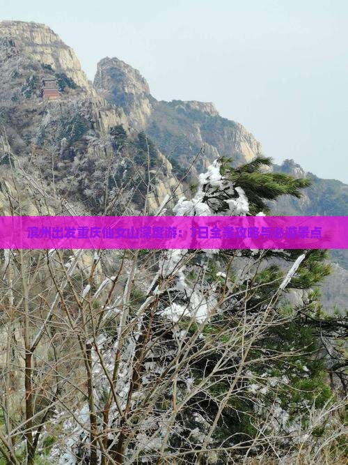 滨州出发重庆仙女山深度游：7日全景攻略与必游景点