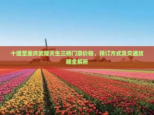 十堰至重庆武隆天生三桥门票价格、预订方式及交通攻略全解析