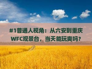 六安去重庆wfc观景台一日