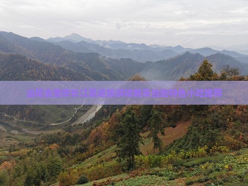 汕尾去重庆长江索道旅游小吃