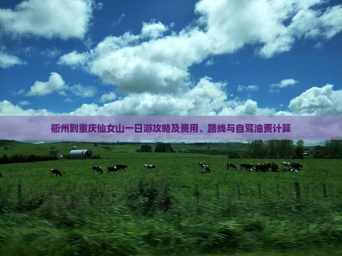 衢州到重庆仙女山一日