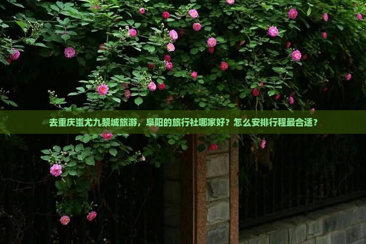 阜阳去重庆蚩尤九黎城旅行社