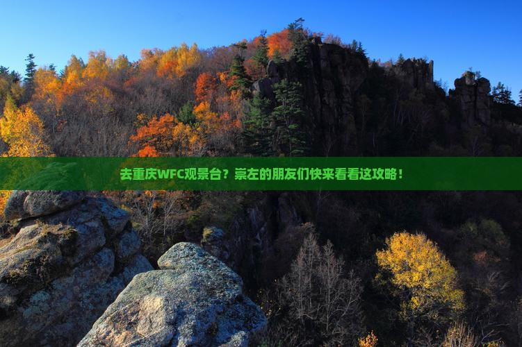 崇左去重庆wfc观景台景点