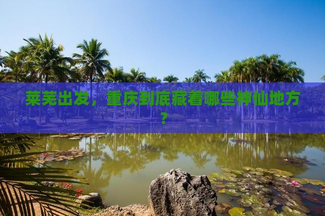 莱芜去重庆必去地