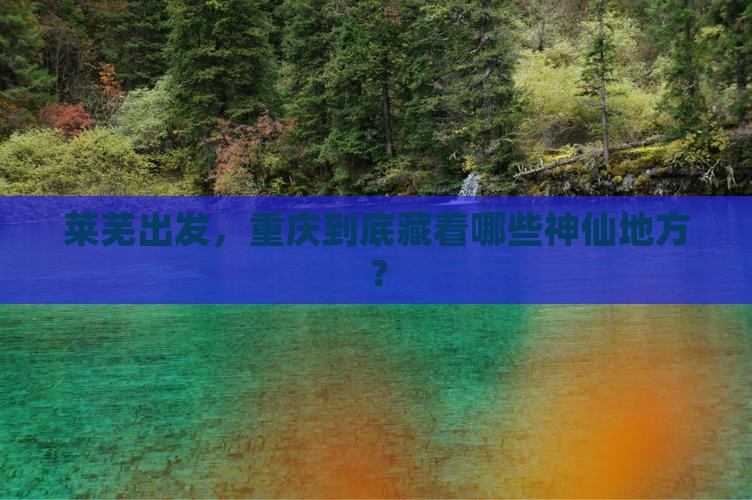 莱芜去重庆必去地