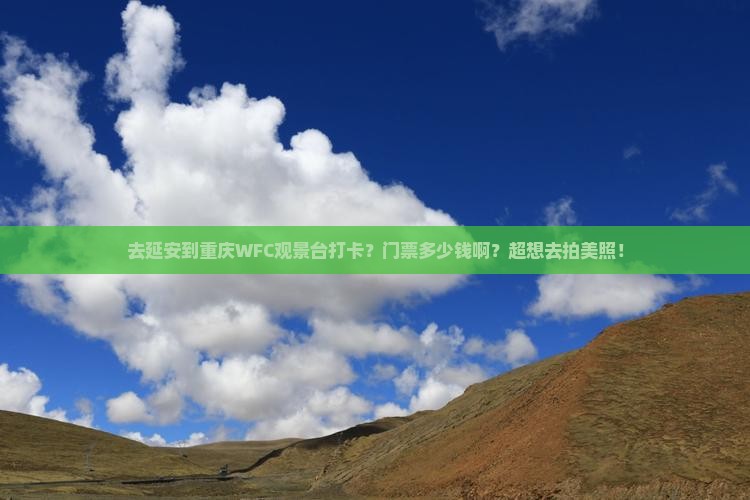 延安到重庆wfc观景台门票