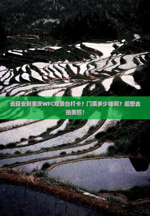 延安到重庆wfc观景台门票