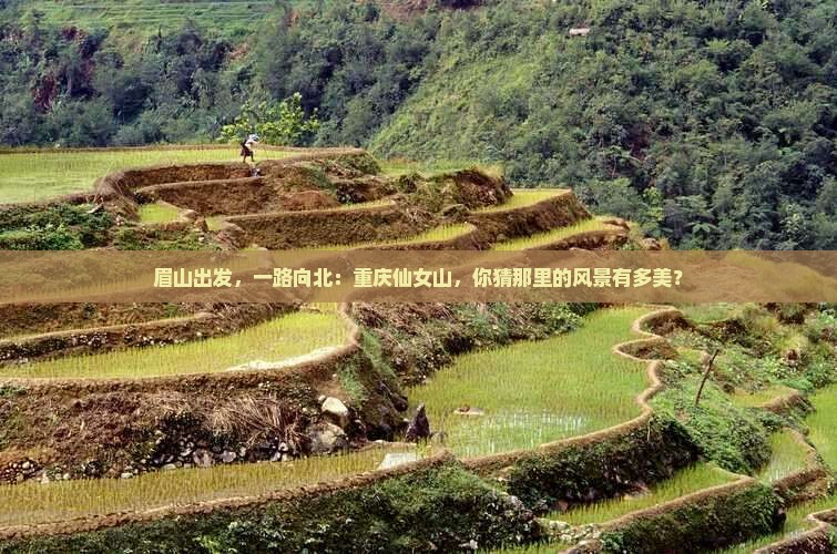 眉山到重庆仙女山旅游