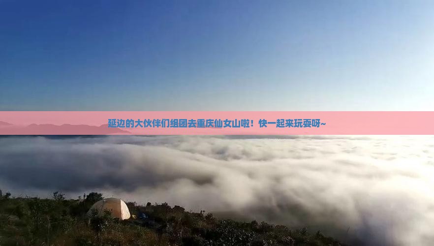 延边去重庆仙女山大型旅游团