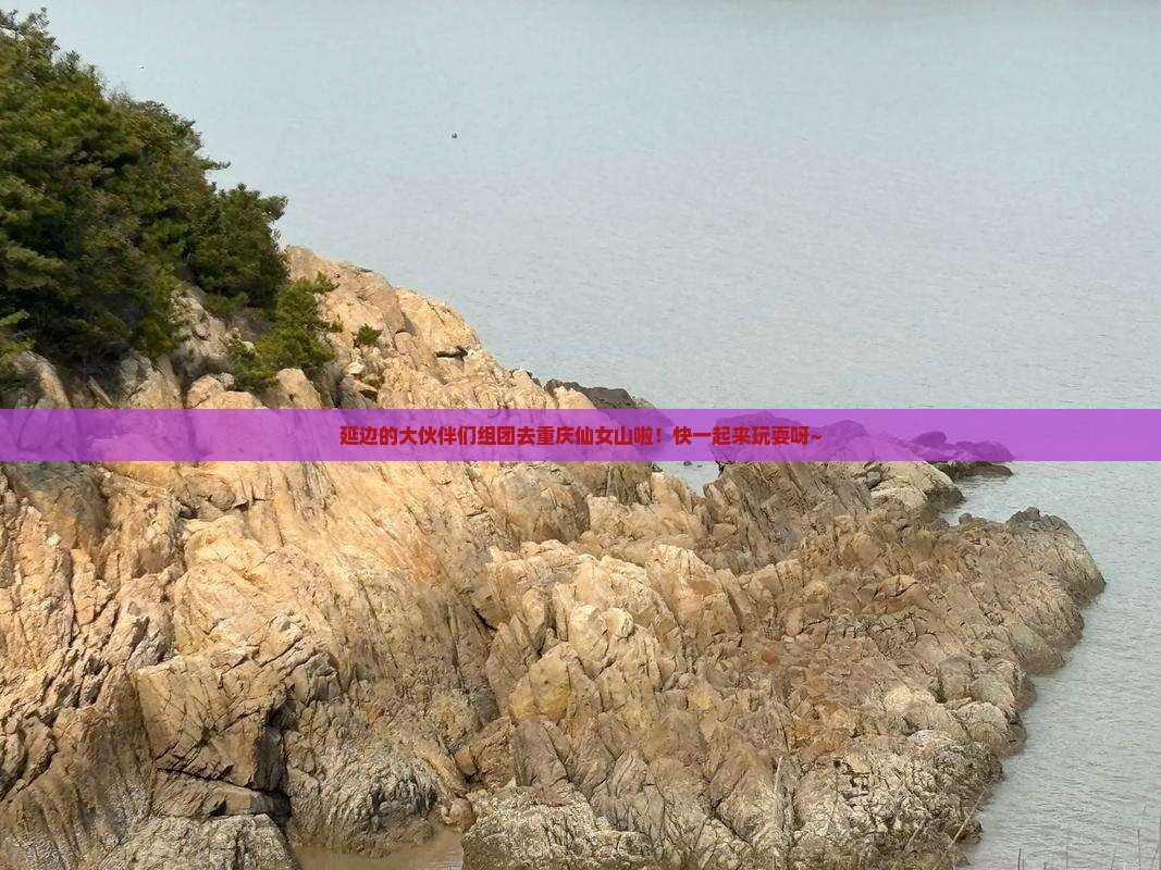延边去重庆仙女山大型旅游团