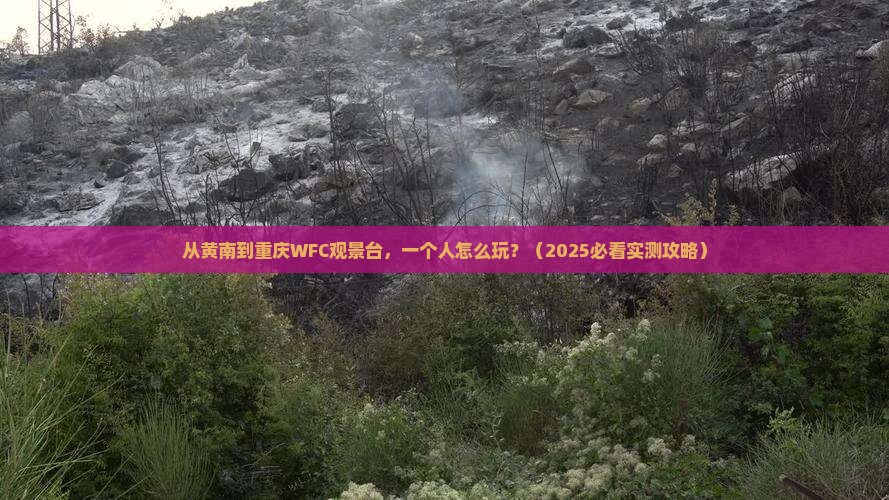 黄南到重庆wfc观景台个人游