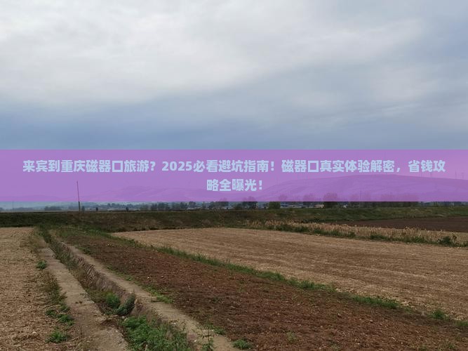 来宾到重庆磁器口旅游
