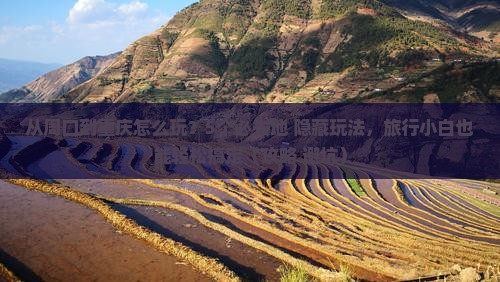 周口到重庆必去地
