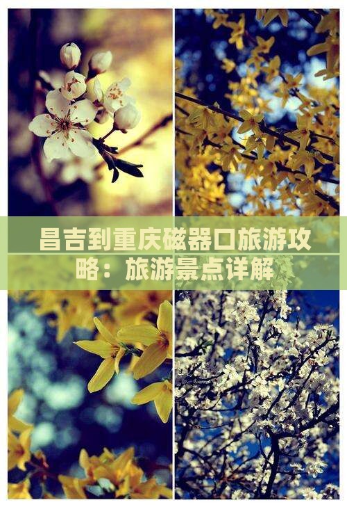 昌吉到重庆磁器口个人游