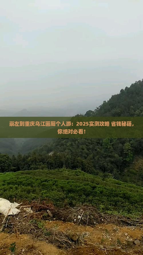 崇左到重庆乌江画廊个人游