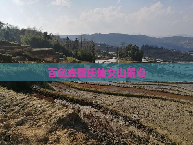 百色去重庆仙女山景点