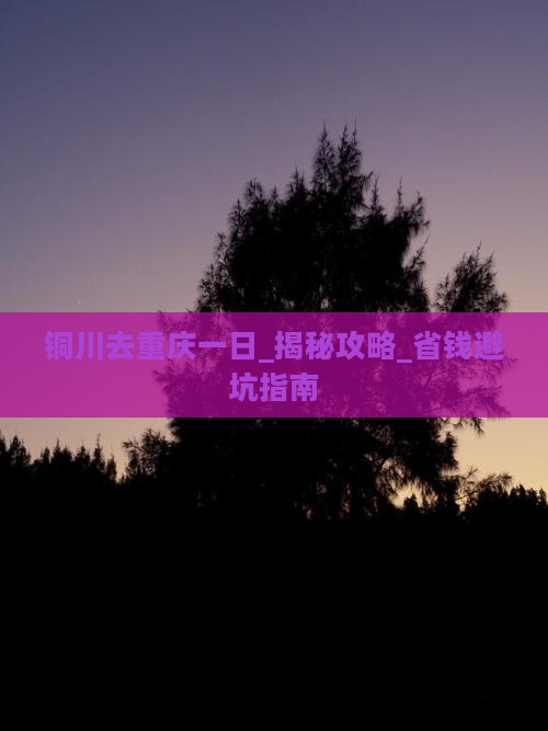 铜川去重庆一日