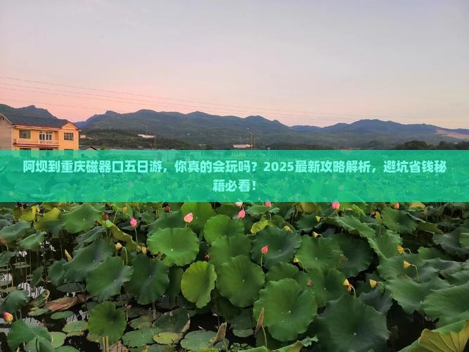 阿坝到重庆磁器口五日游