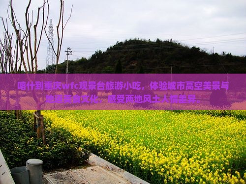 喀什到重庆wfc观景台旅游小吃