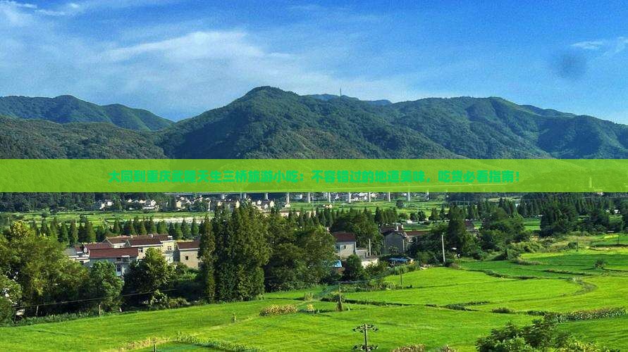 大同到重庆武隆天生三桥旅游小吃