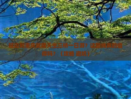 延边到重庆武隆天生三桥一日
